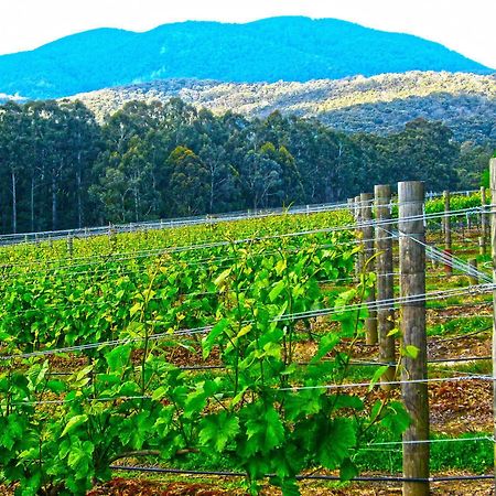 Valley Farm Vineyard Cottages Healesville Dış mekan fotoğraf