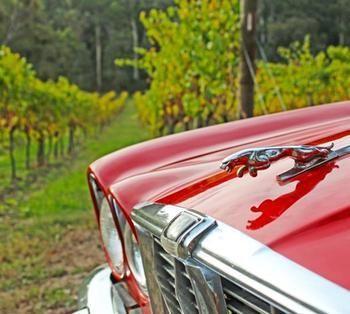 Valley Farm Vineyard Cottages Healesville Dış mekan fotoğraf