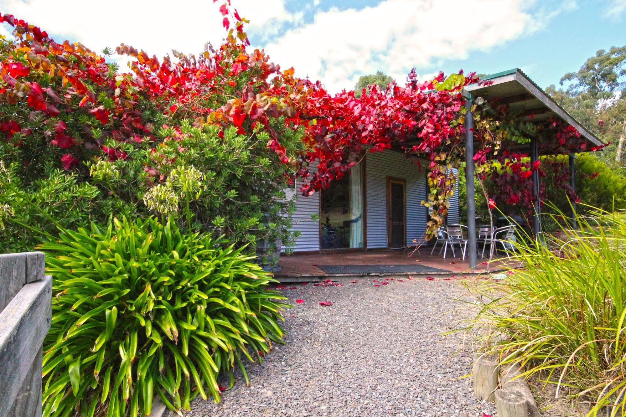 Valley Farm Vineyard Cottages Healesville Dış mekan fotoğraf