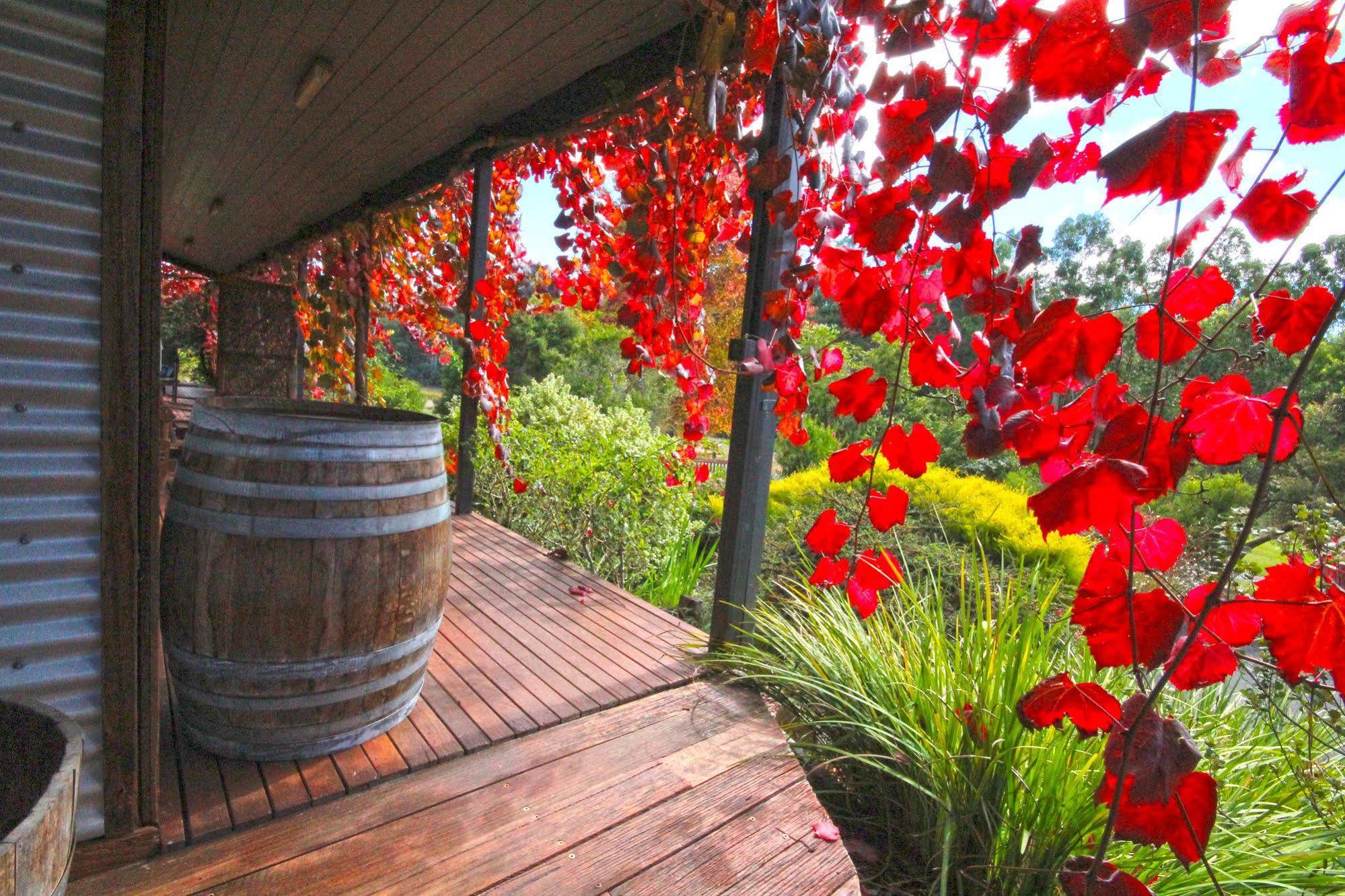 Valley Farm Vineyard Cottages Healesville Dış mekan fotoğraf