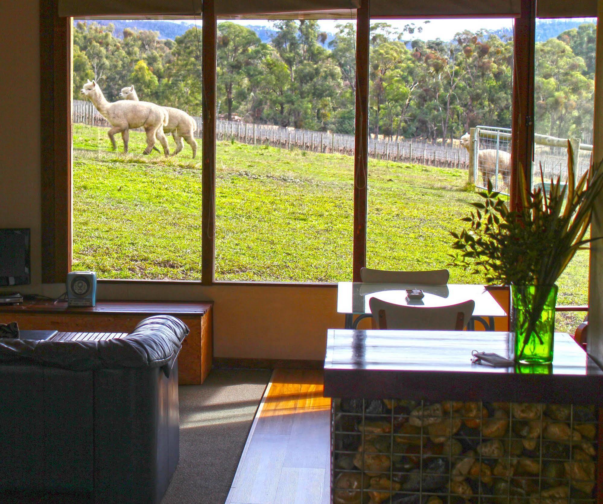 Valley Farm Vineyard Cottages Healesville Dış mekan fotoğraf