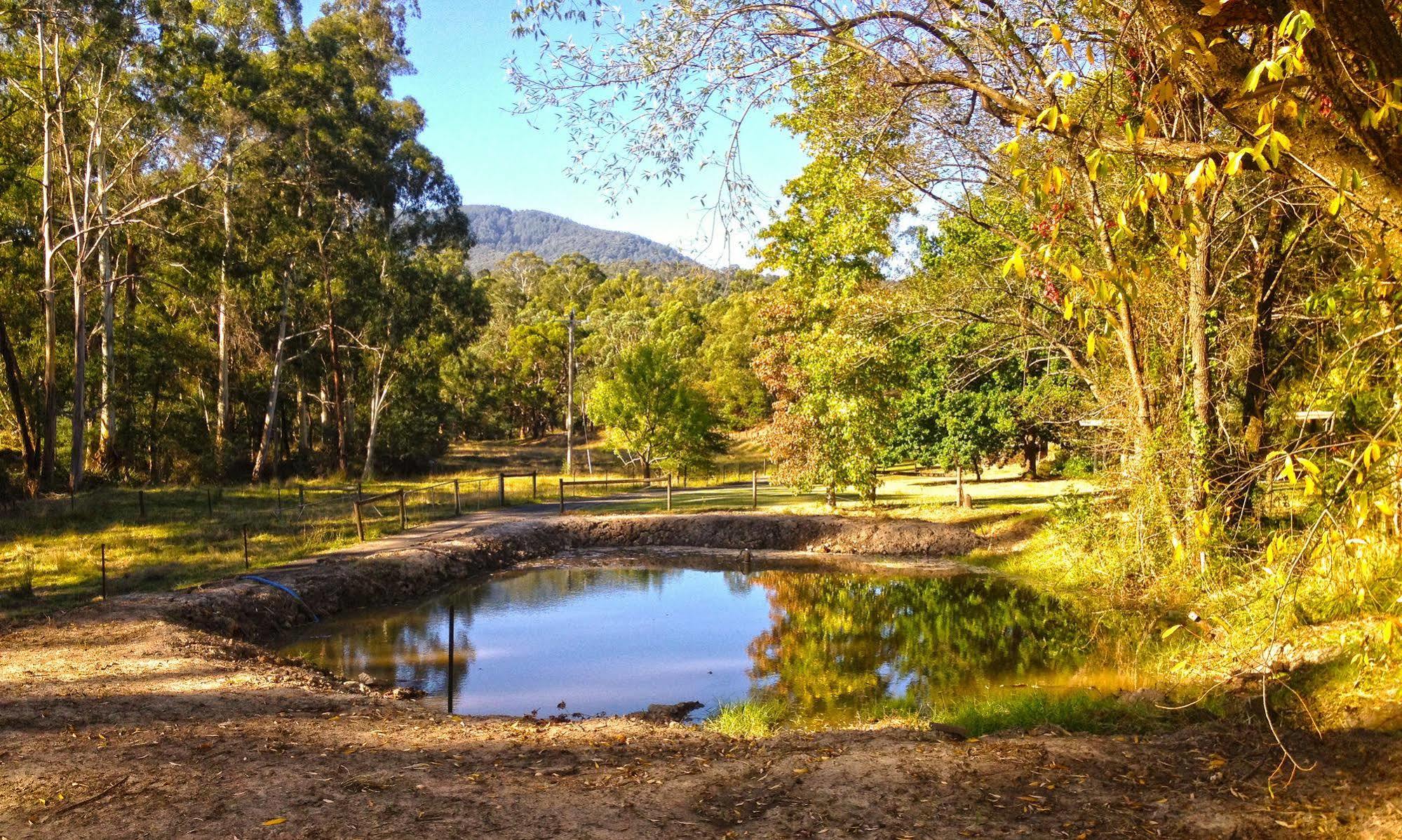 Valley Farm Vineyard Cottages Healesville Dış mekan fotoğraf